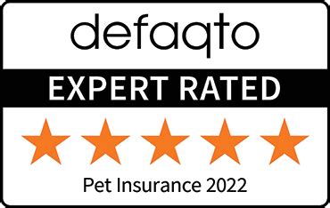 PDSA Pet Insurance Policies Explained .